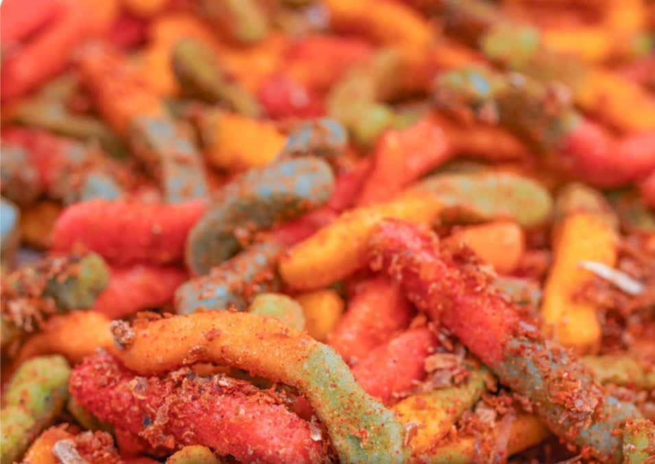 Worms